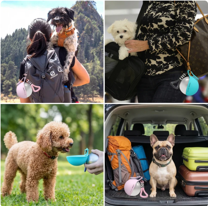 PupSip™ – bidon 2w1 dla psów